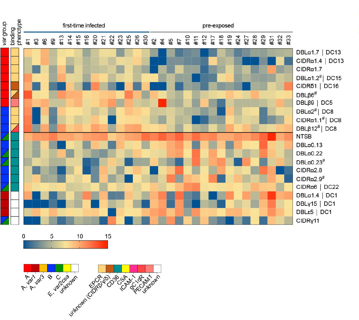Heat map showing expression diefferences of PfEMP1 domains