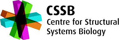 Logo CSSB