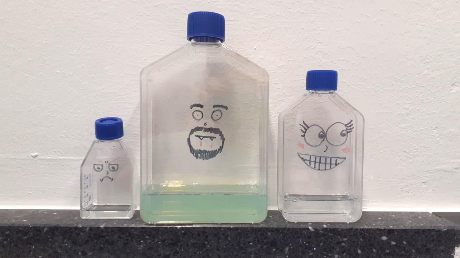 Three culture flasks with funny faces painted on