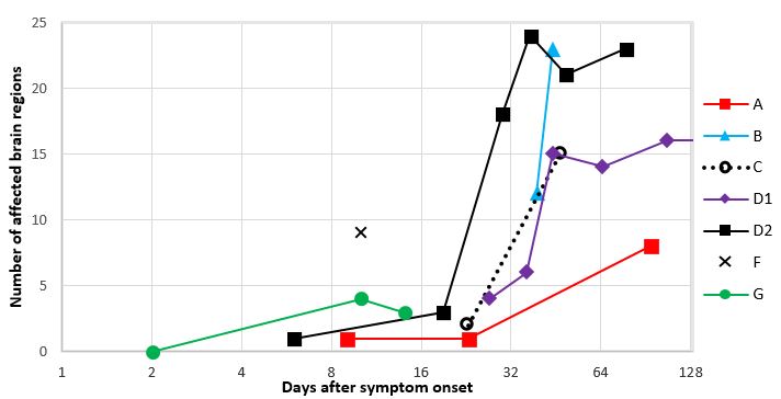 Anzahl der betroffenen Hirnregionen bei der MR-Untersuchung pro Patient und Tag nach Auftreten der Symptome. Die Anzahl der betroffenen Regionen nimmt mit der Zeit deutlich zu, was auf der logarithmischen Skala gut zu erkennen ist.