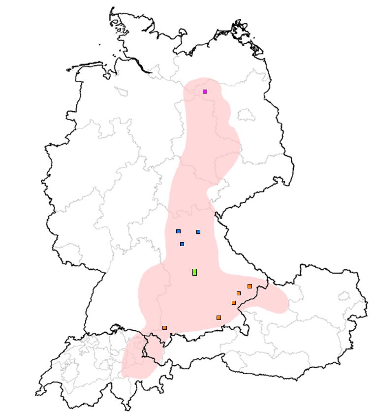 Endemiegebiet für die Borna-Krankheit bei Tieren (schraffierte Zone) und einige Fälle von menschlicher Enzephalitis mit Farbkodierung entsprechend den Virusclustern: Eine Übersichtskarte von Deutschland, Österreich und Schweiz, in der mit Punkten menschliche Enzephalitis und mit Schraffierung Borna-Krankheit bei Tieren eingezeichnet wurde.