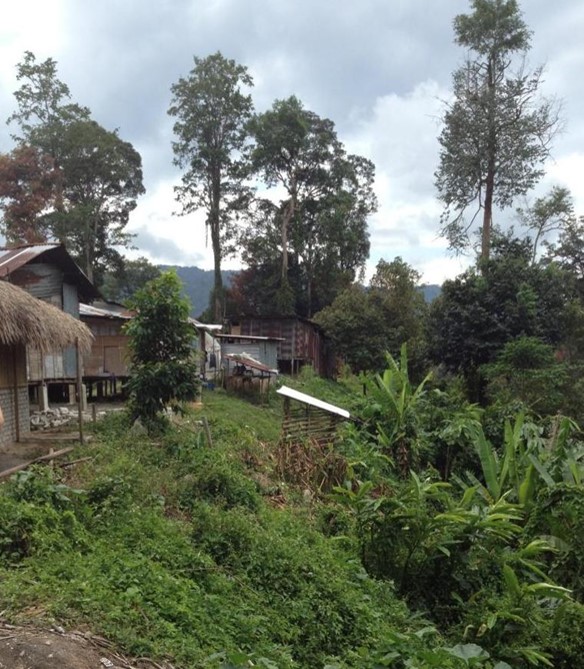 Zu sehen ist ein Dorf auf der ländlichen Halbinsel Malaysias an einem grünen Hang.