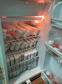 Ein geöffneter Kühlschrank, der mit kleinen Plastikbehältern, die mit einem weißen Deckel verschlossen sind, gefüllt ist.